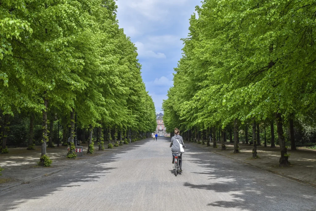 Mayfair Green Spaces