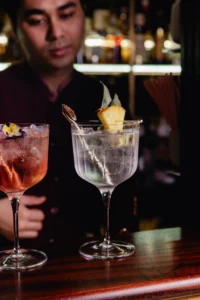 Modern Indian Cocktails