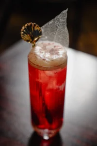 Indian Cocktail Bars